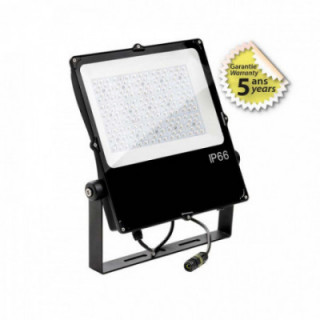 PARTHENON PROJ ASYM 100W