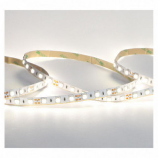 BANDEAU 4KK 10W/M IP54 24V