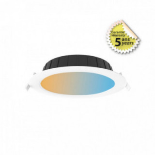 CYNIUS DL 21W 3CCT DIM DALI/P