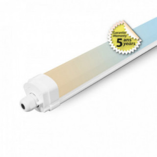 DANUBE CCT ETANCHE 1555MM 50W