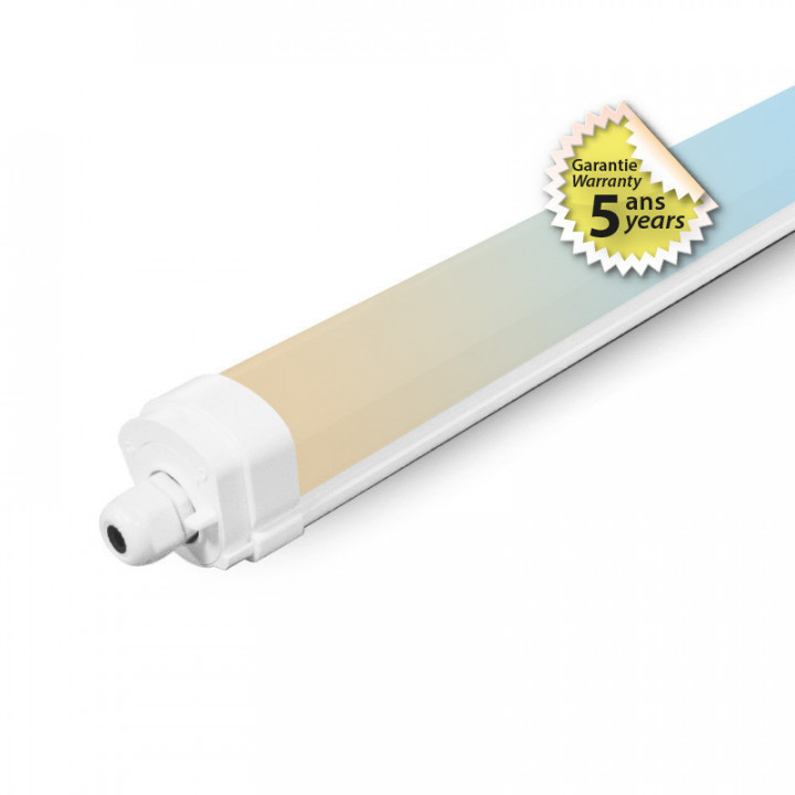 DANUBE CCT ETANCHE 1555MM 50W
