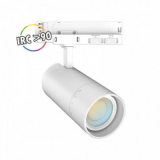 FOCUS SLIM II SPOT 3PUIS 3CCT