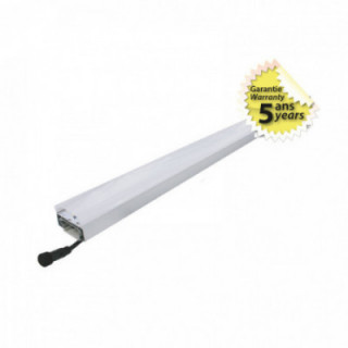 LIN 50W 1500mm DEP 5A