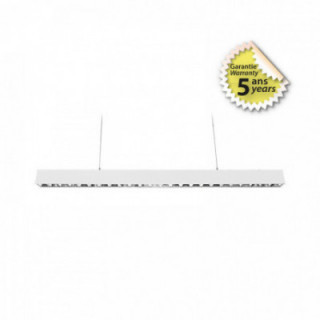 LINEA 1200 30W 4KK BLC DALI 5A