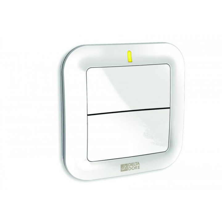 DELTA DORE Interrupteur / Emetteur - 6351380