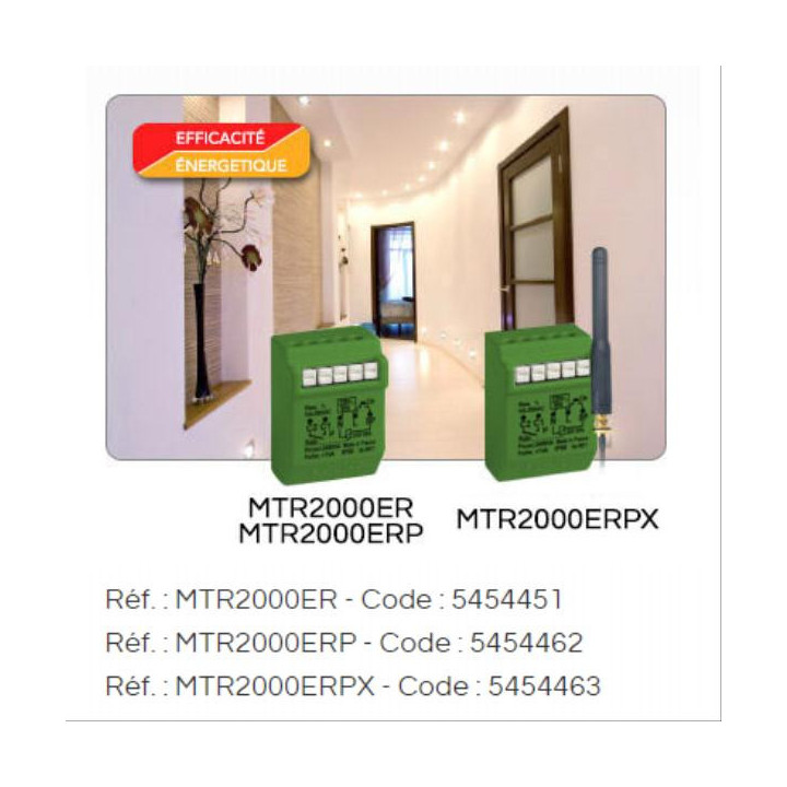 YOKIS Télérupteur temporisé radio - MTR2000ERP