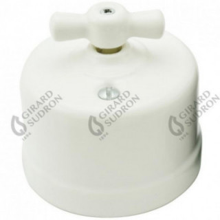 Porcelaine blanche en saillie