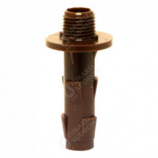 Rac.Polya.D.10 H.Pied Bois M