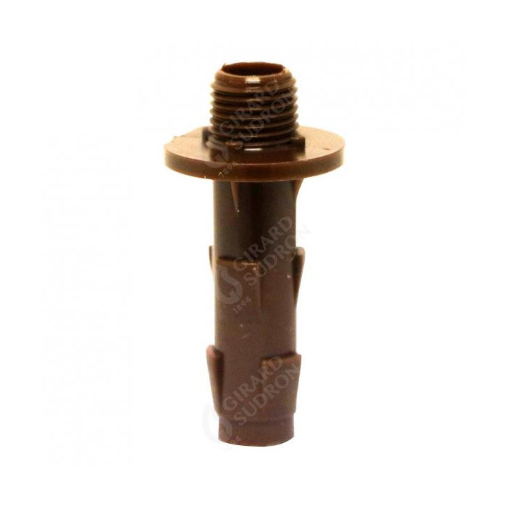 Rac.Polya.D.10 H.Pied Bois M